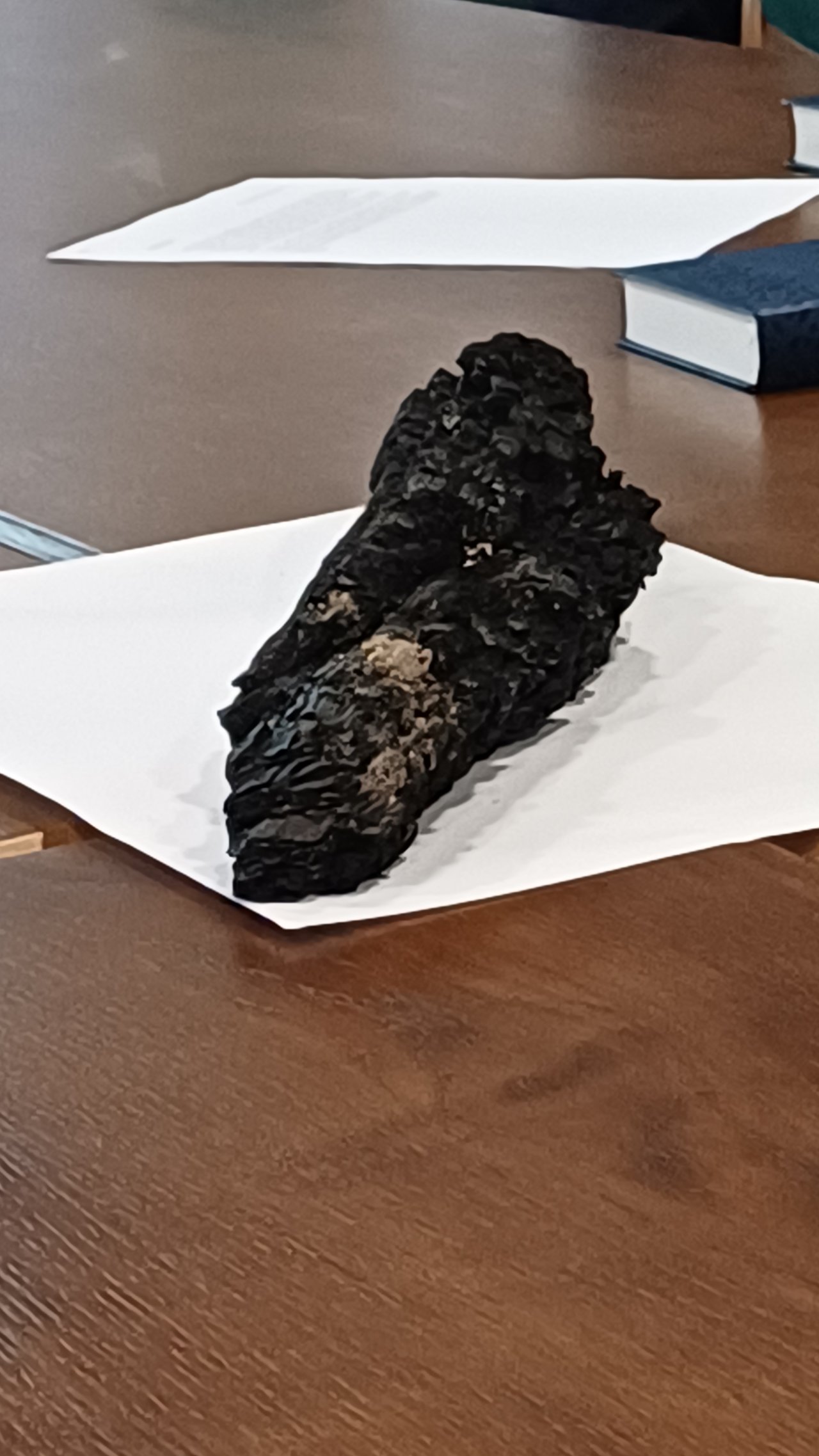 A radostyáni harangláb egy üszkös darabja