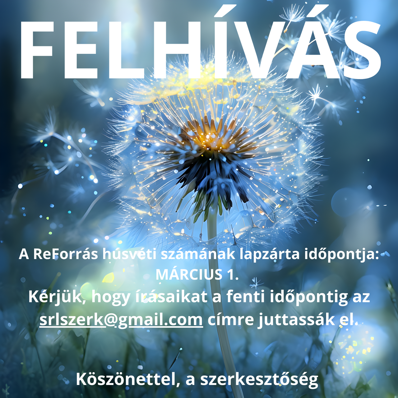FELHÍVÁS