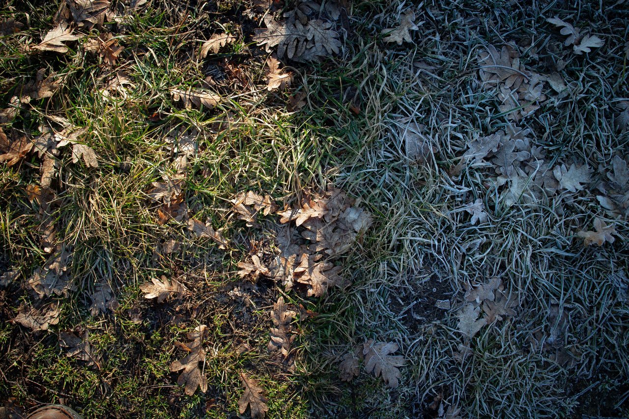 b546a015-40b9-4c07-80ca-d13697ba4408