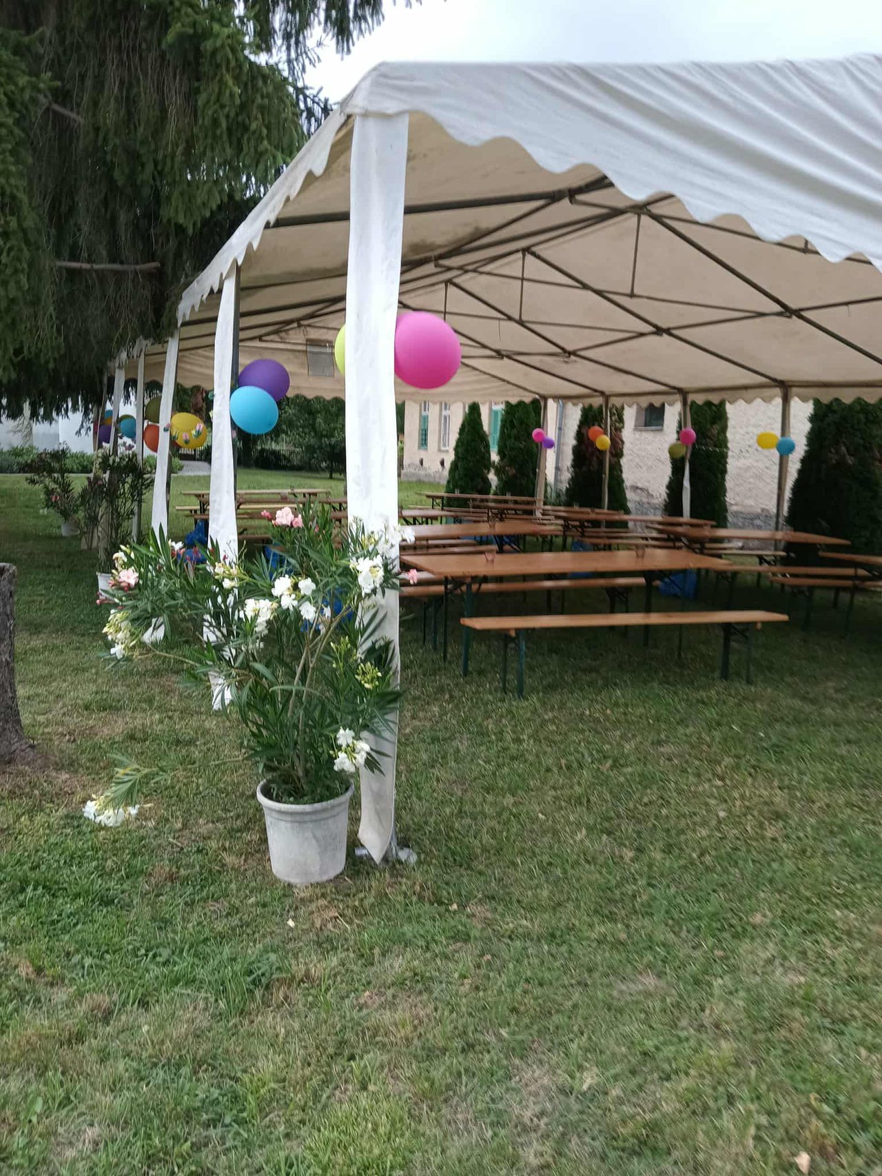 vendégekre_várva (1)